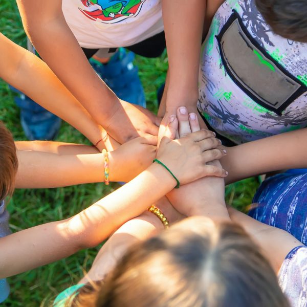 the-children-put-their-hands-together-selective-focus-.jpg